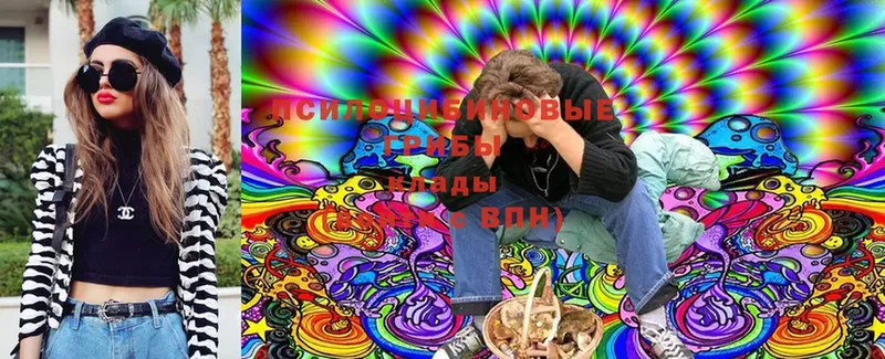 Галлюциногенные грибы Cubensis  хочу   Обнинск 